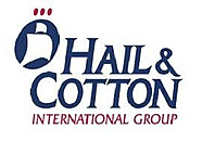 Hail & Cotton, International Group